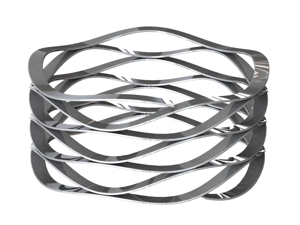 Raleigh Spring Co., Ltd.